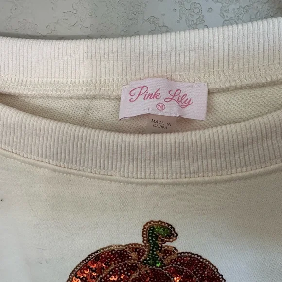 Pink Lily Cream and Orange Pumpkin Crew Neck Sweater - Picture 2 of 3